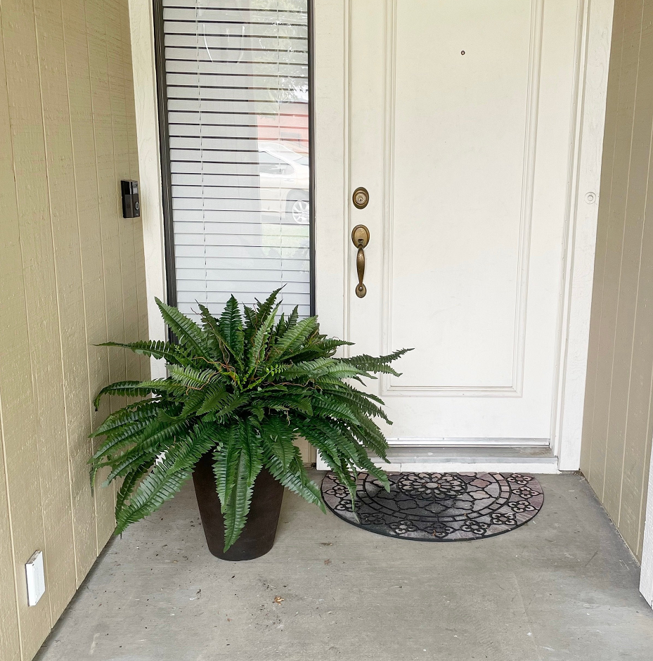 【𝐎𝐟𝐟𝐢𝐜𝐢𝐚𝐥 𝐔𝐒 𝐒𝐭𝐨𝐫𝐞】🏡🌿 𝐀𝐫𝐭𝐢𝐟𝐢𝐜𝐢𝐚𝐥 𝐁𝐨𝐬𝐭𝐨𝐧 𝐅𝐞𝐫𝐧 · 𝐔𝐕-𝐑𝐞𝐬𝐢𝐬𝐭𝐚𝐧𝐭 𝐋𝐢𝐟𝐞𝐥𝐢𝐤𝐞 𝐅𝐚𝐮𝐱 𝐏𝐥𝐚𝐧𝐭 · 🌱𝐅𝐮𝐥𝐥 & 𝐍𝐚𝐭𝐮𝐫𝐚𝐥 𝐆𝐫𝐞𝐞𝐧𝐞𝐫𝐲 𝐟𝐨𝐫 𝐈𝐧𝐝𝐨𝐨𝐫 & 𝐎𝐮𝐭𝐝𝐨𝐨𝐫 𝐃𝐞𝐜𝐨𝐫