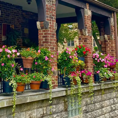 Hanging Flower Pots for Home Kitchens are Commonly Used On Balconies with Iron Hollow Hanging Leaves to Decorate The Stable Garden Green Well Hanging Flower Baskets (Champagne)